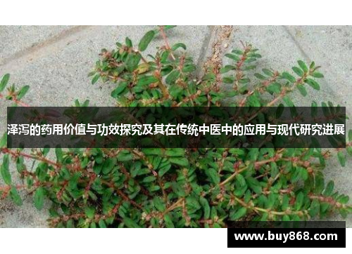 泽泻的药用价值与功效探究及其在传统中医中的应用与现代研究进展 泽泻的药用价值与功效探究及其在传统中医中的应用与现代研究进展